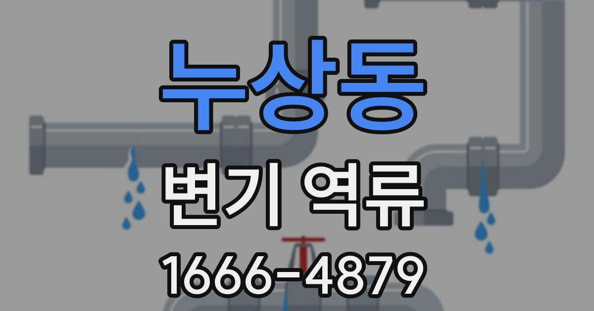 누상동 변기 역류