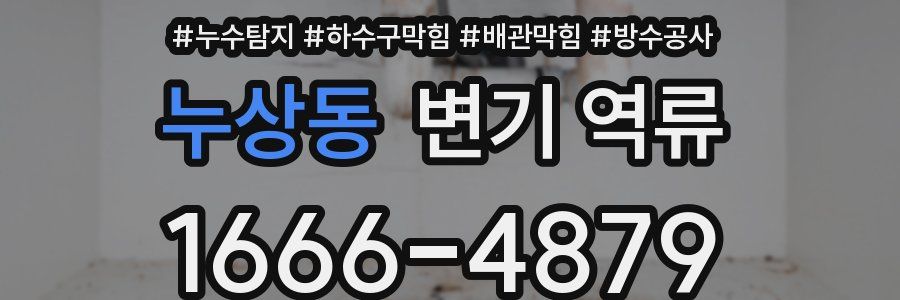 누상동 변기 역류