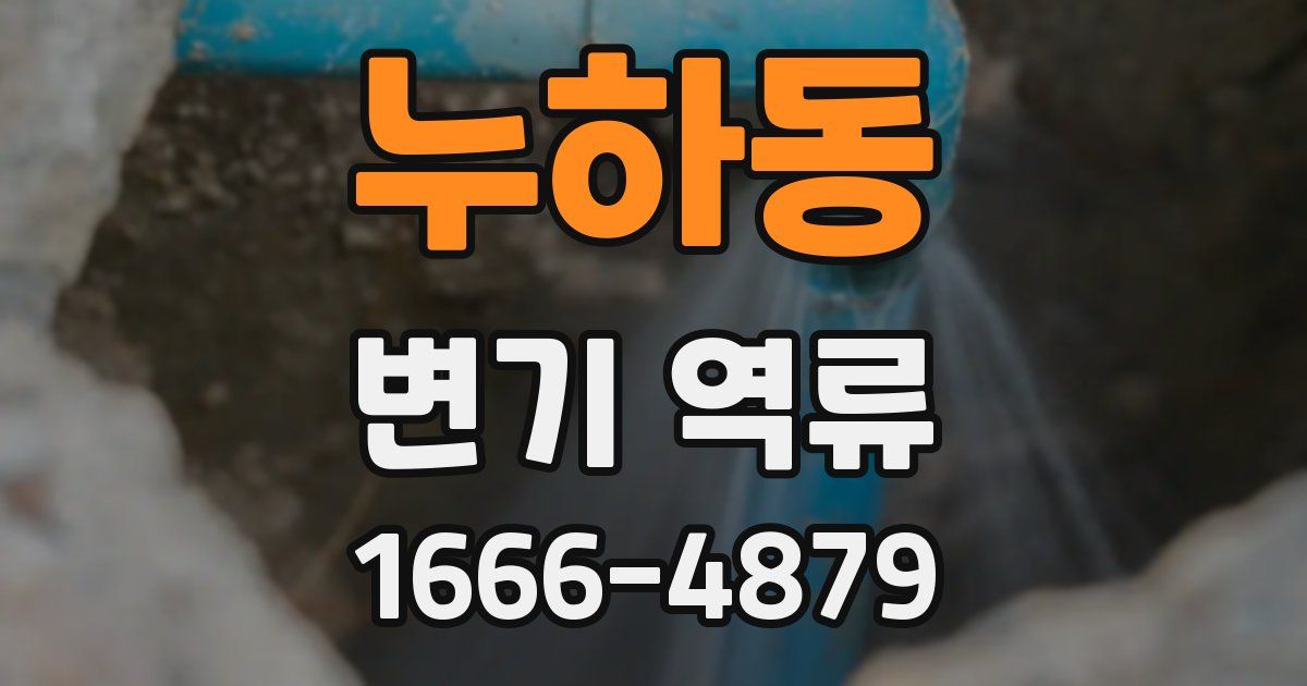 누하동 변기 역류
