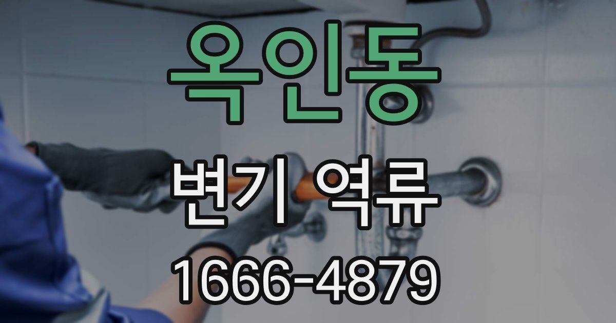 옥인동 변기 역류