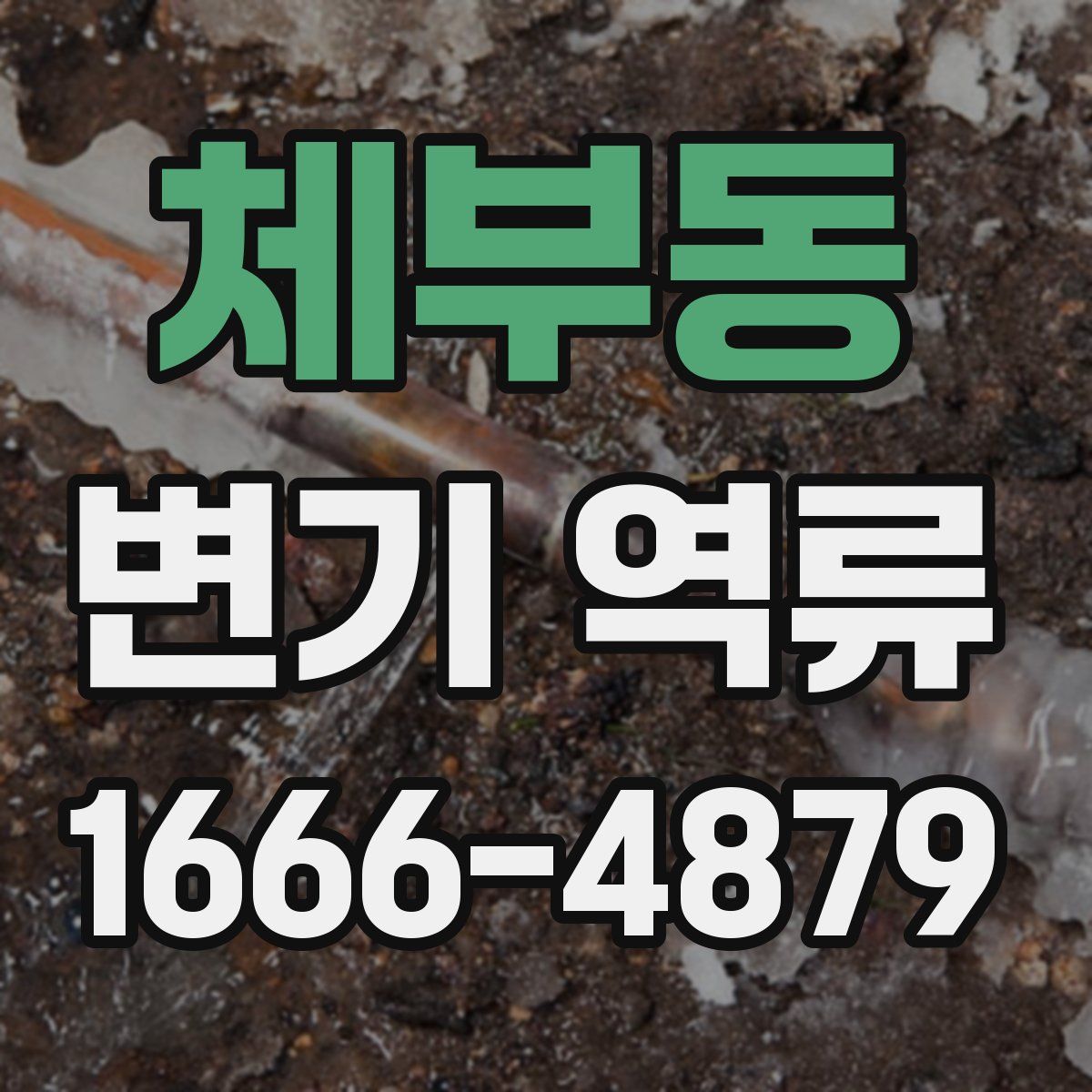 체부동 변기 역류