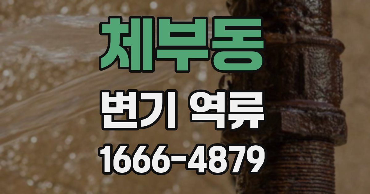 체부동 변기 역류