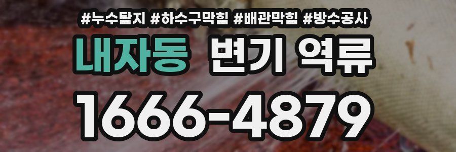 내자동 변기 역류
