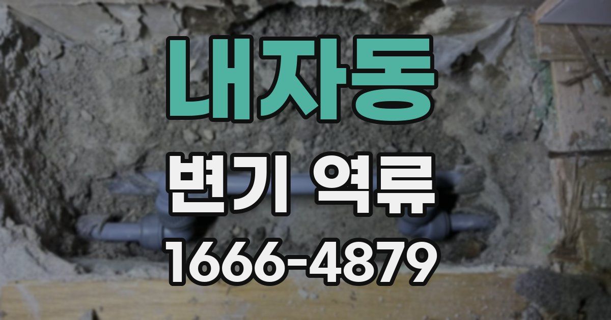 내자동 변기 역류