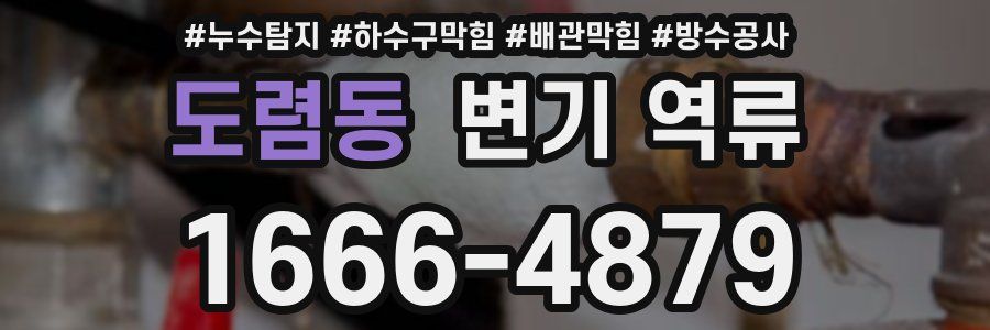 도렴동 변기 역류