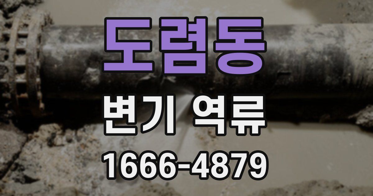 도렴동 변기 역류