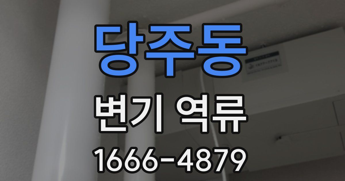 당주동 변기 역류