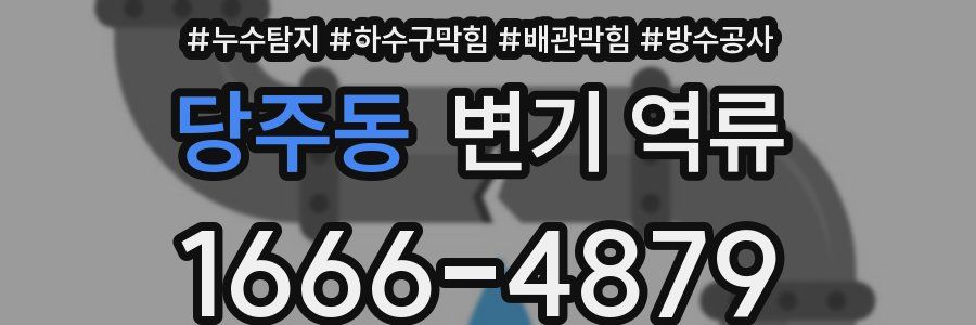 당주동 변기 역류