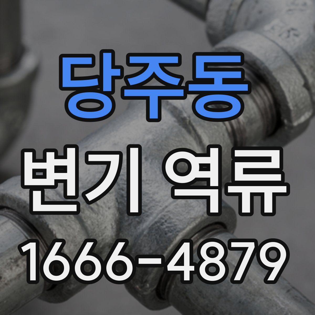 당주동 변기 역류