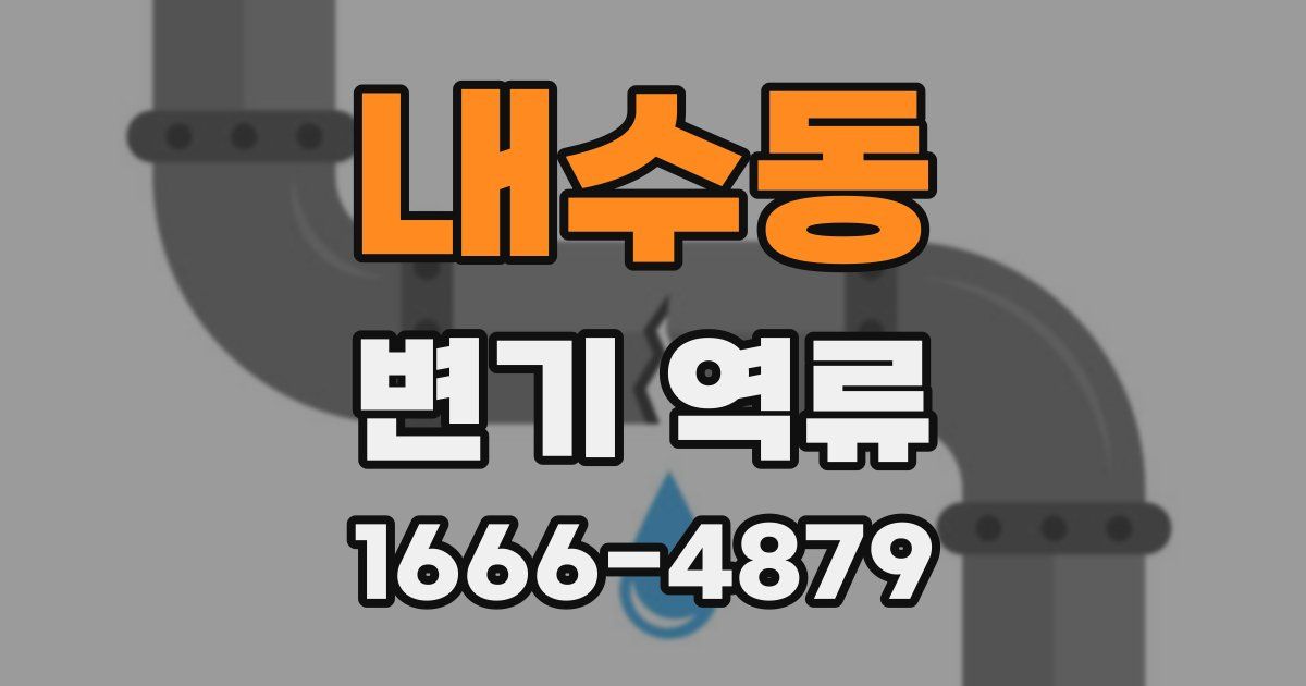 내수동 변기 역류