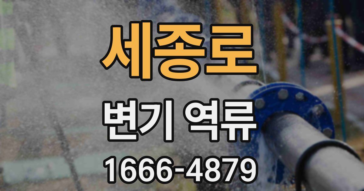 세종로 변기 역류