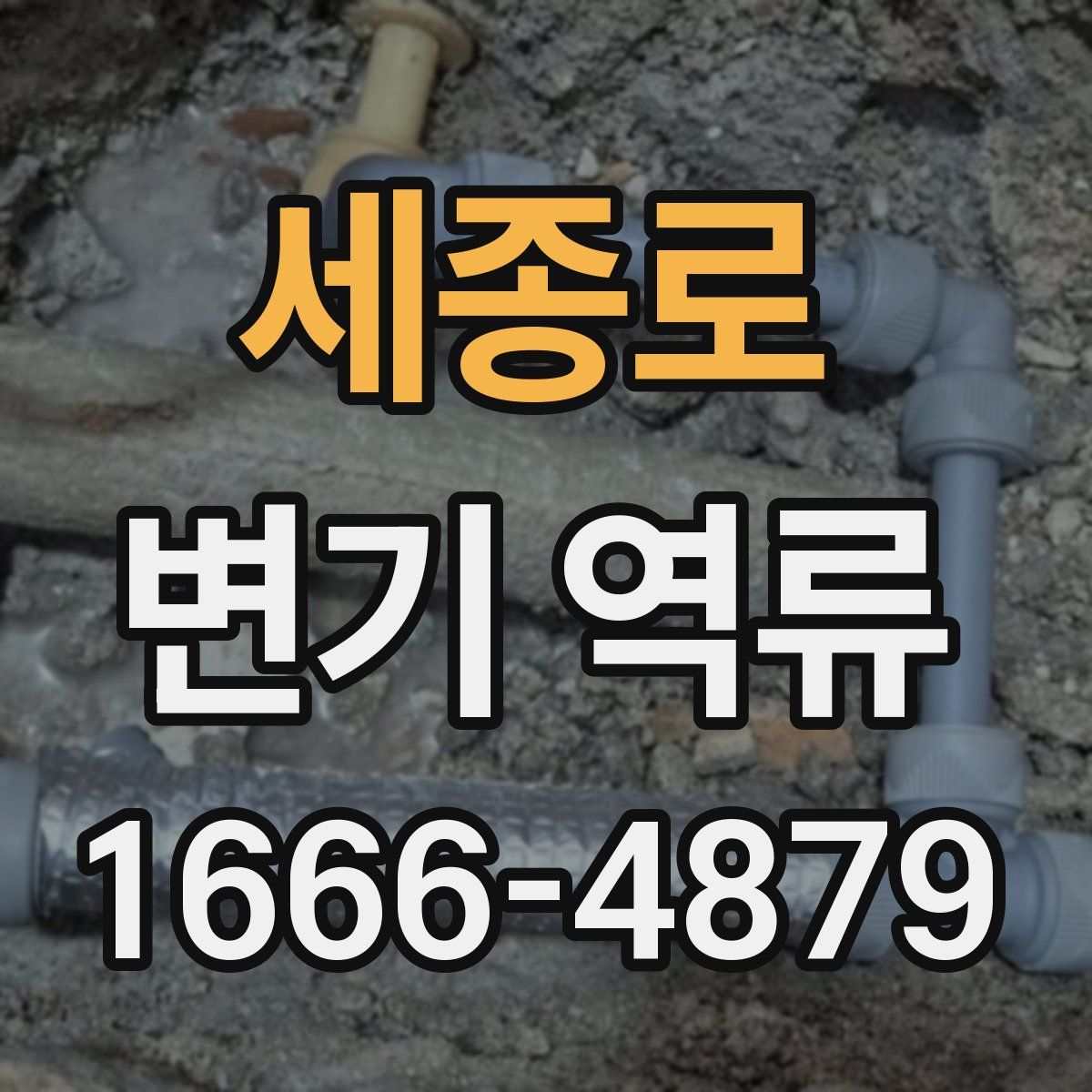 세종로 변기 역류