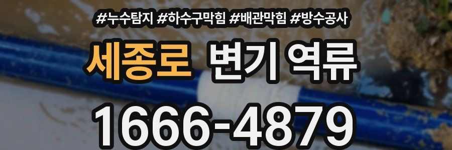 세종로 변기 역류