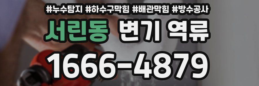 서린동 변기 역류