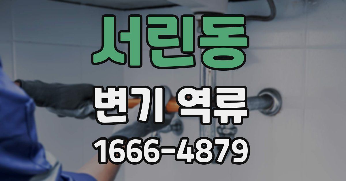 서린동 변기 역류