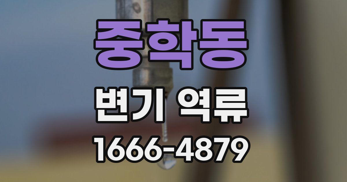 중학동 변기 역류