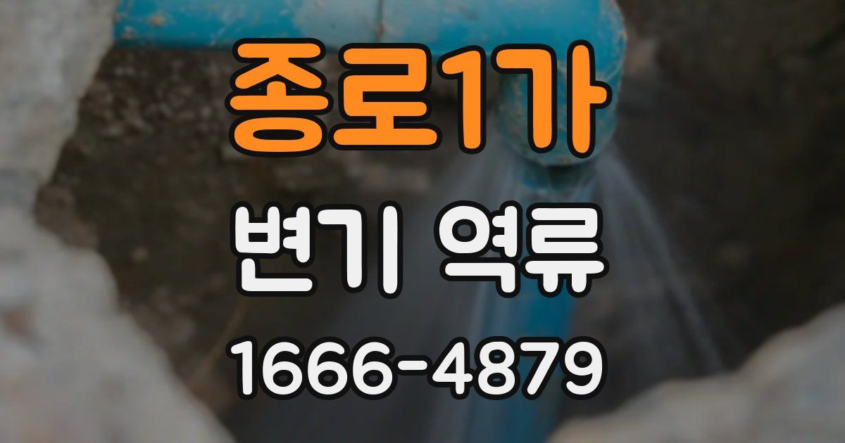 종로1가 변기 역류