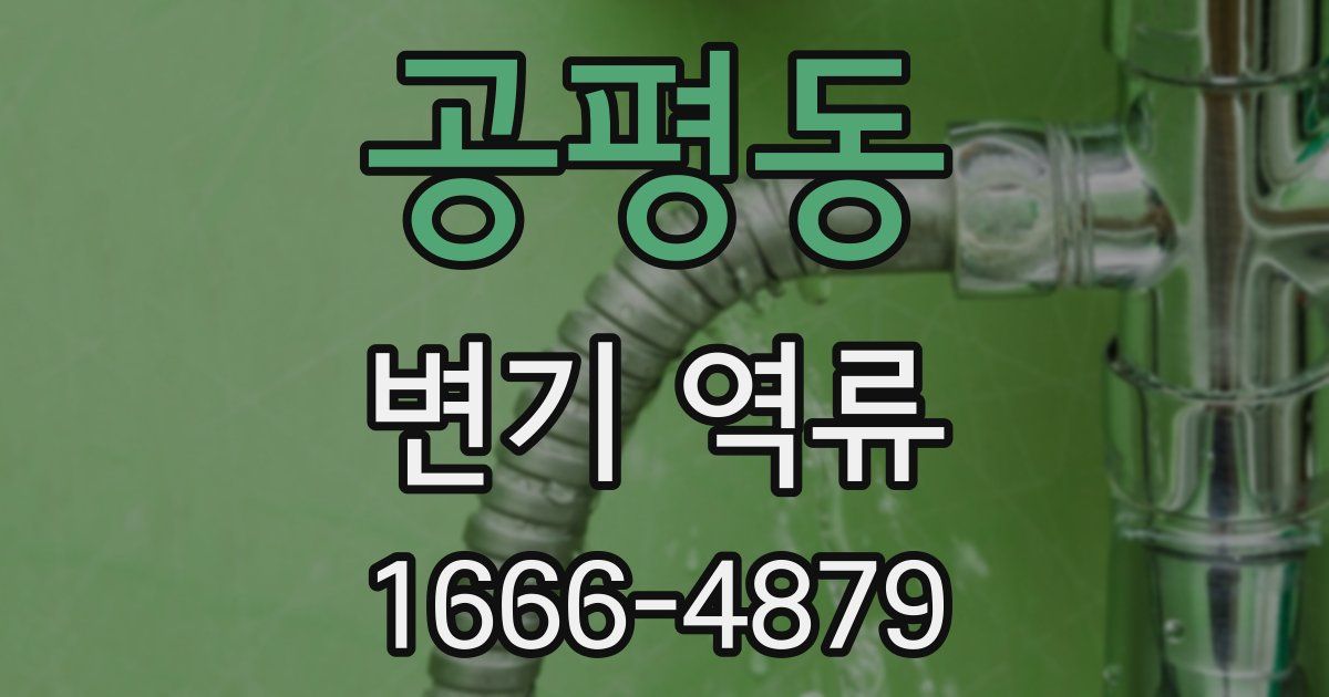 공평동 변기 역류