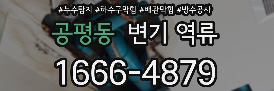 공평동 변기 역류
