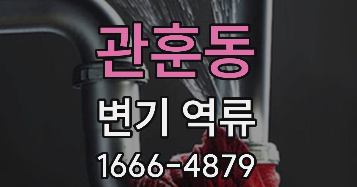 관훈동 변기 역류
