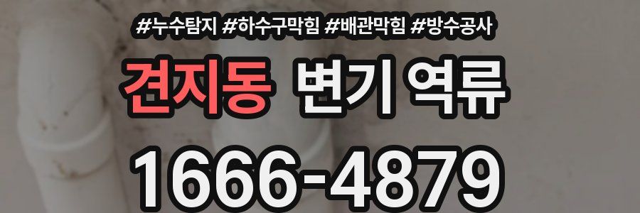 견지동 변기 역류
