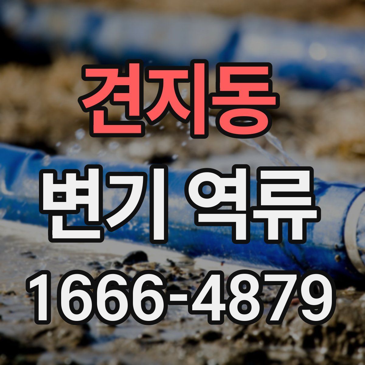 견지동 변기 역류