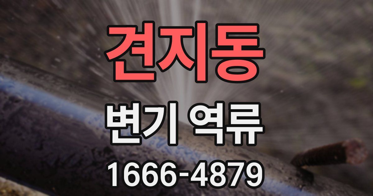 견지동 변기 역류