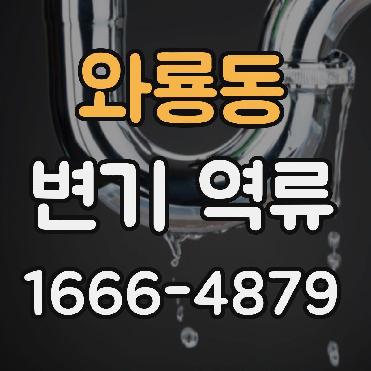 와룡동 변기 역류