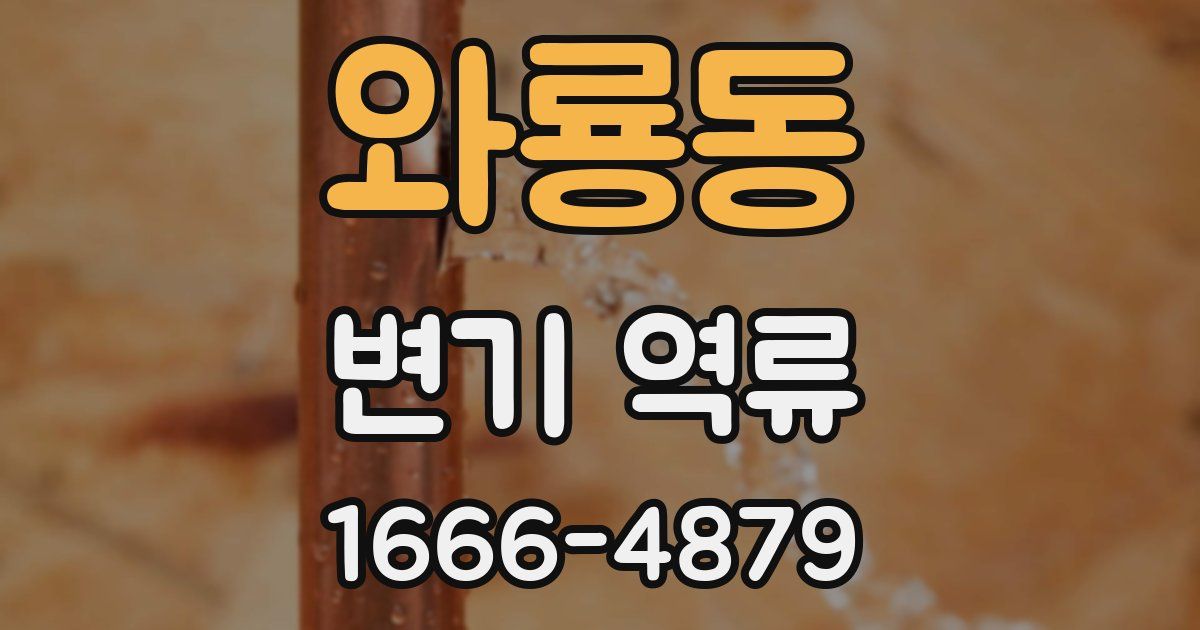 와룡동 변기 역류