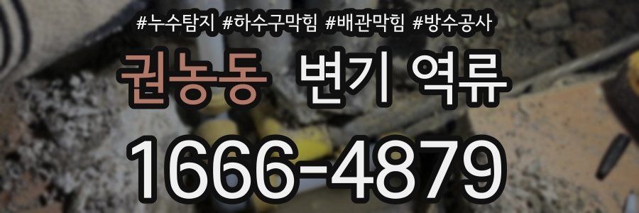 권농동 변기 역류