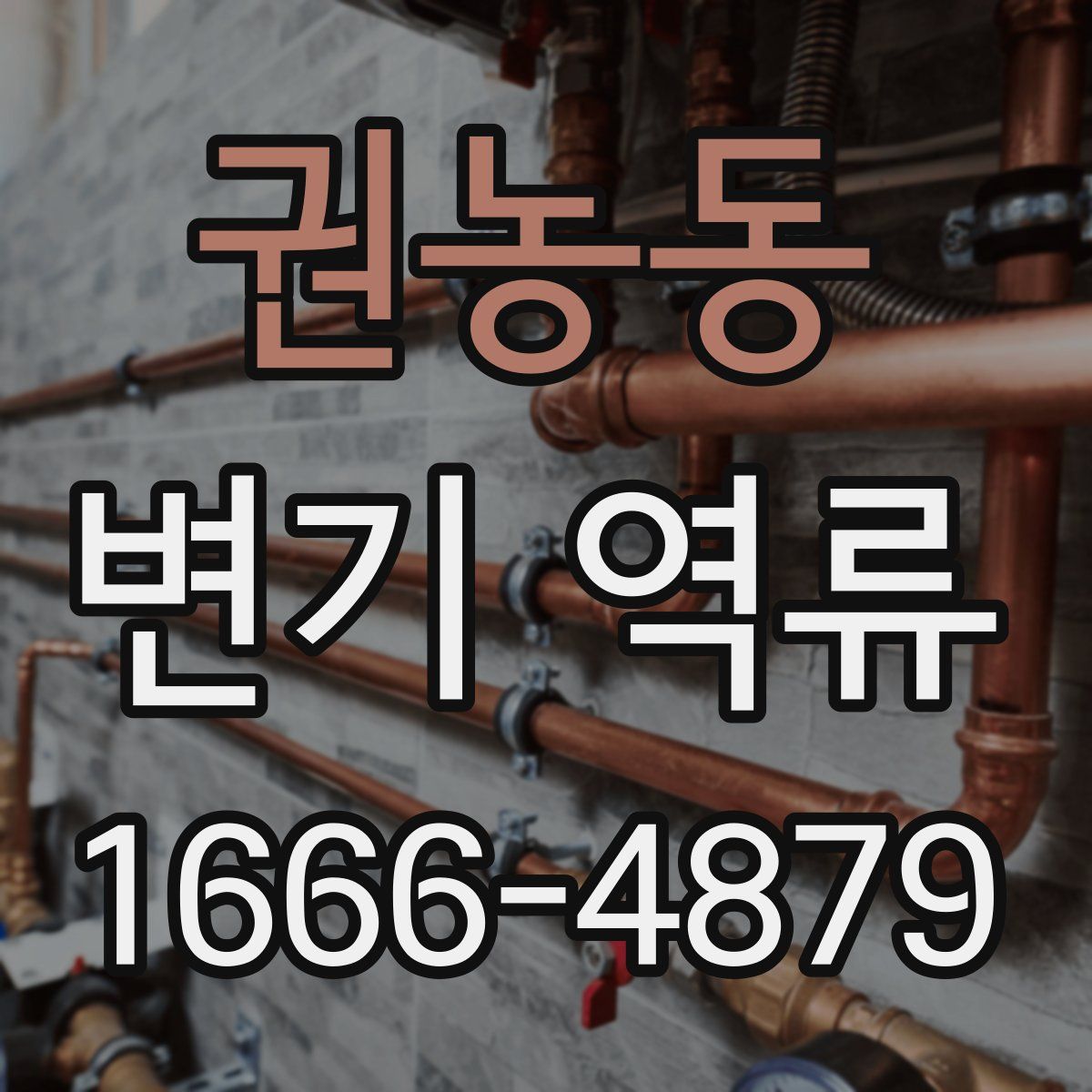 권농동 변기 역류