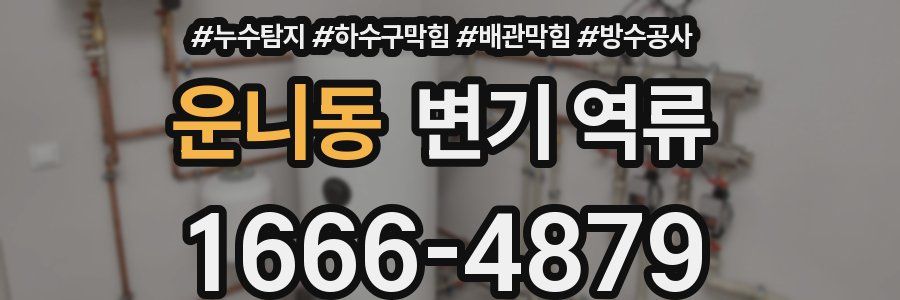 운니동 변기 역류