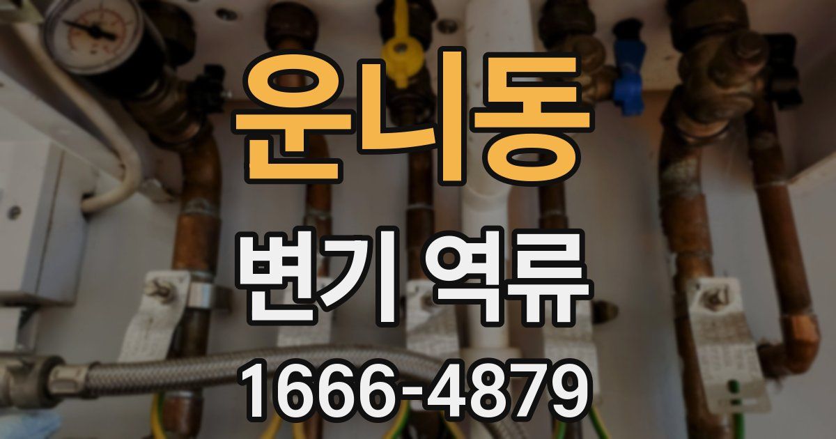 운니동 변기 역류