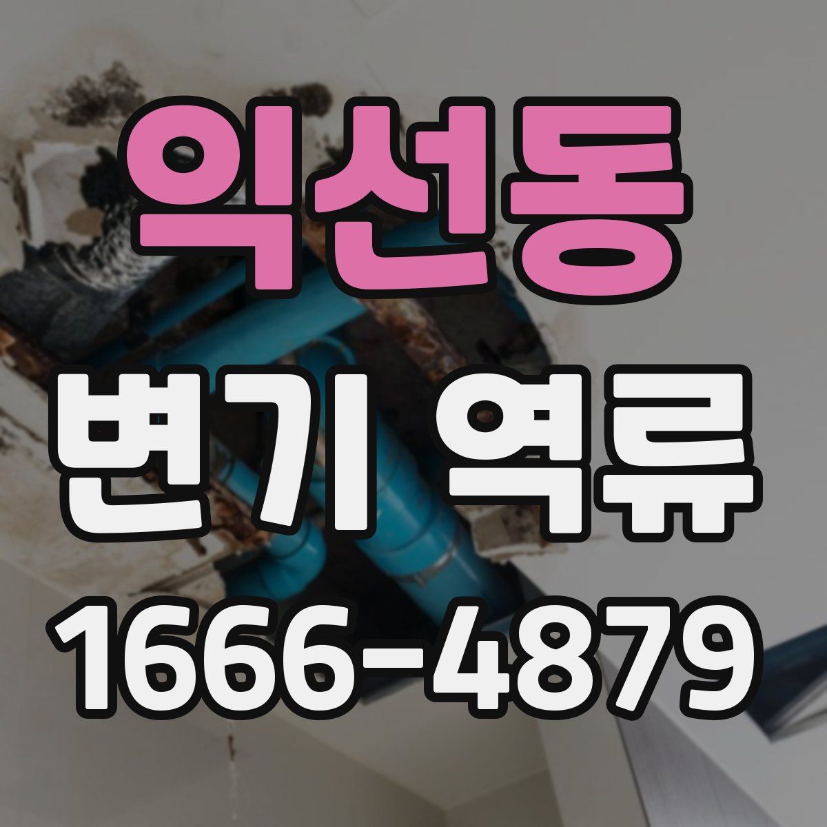 익선동 변기 역류