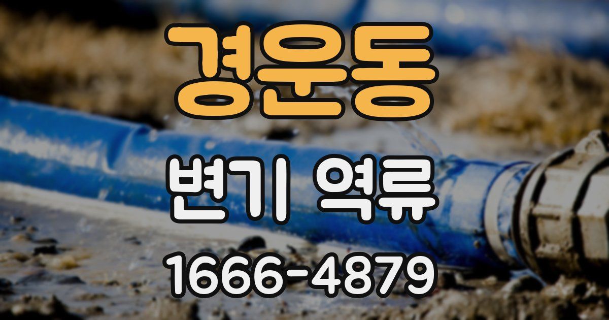 경운동 변기 역류