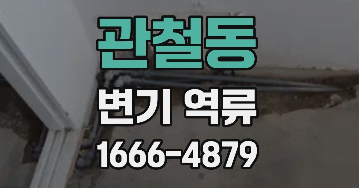 관철동 변기 역류