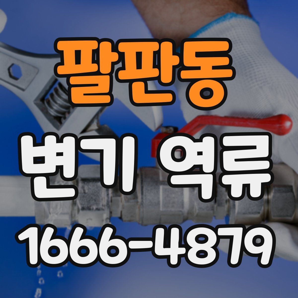 팔판동 변기 역류