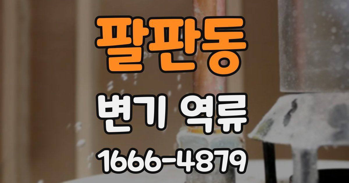 팔판동 변기 역류