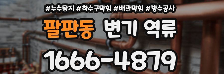 팔판동 변기 역류
