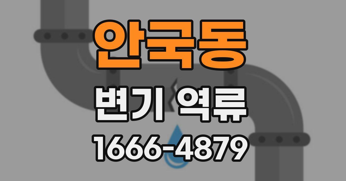 안국동 변기 역류