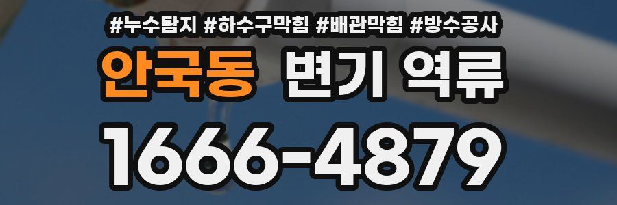 안국동 변기 역류