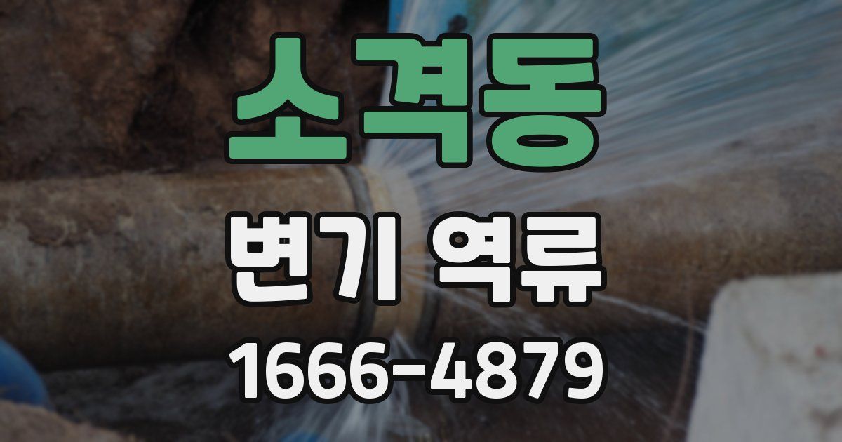 소격동 변기 역류