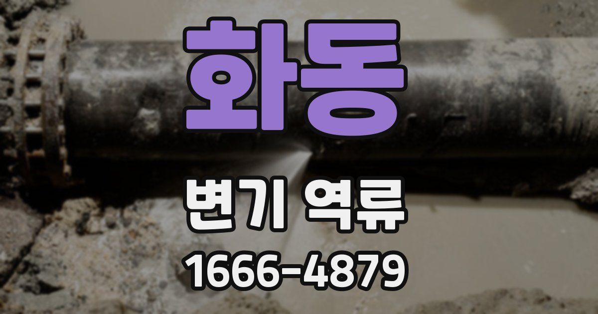 화동 변기 역류