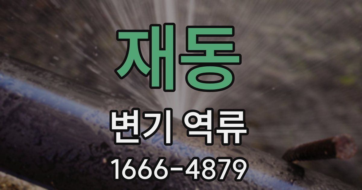 재동 변기 역류