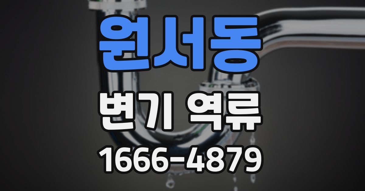 원서동 변기 역류