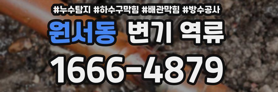 원서동 변기 역류