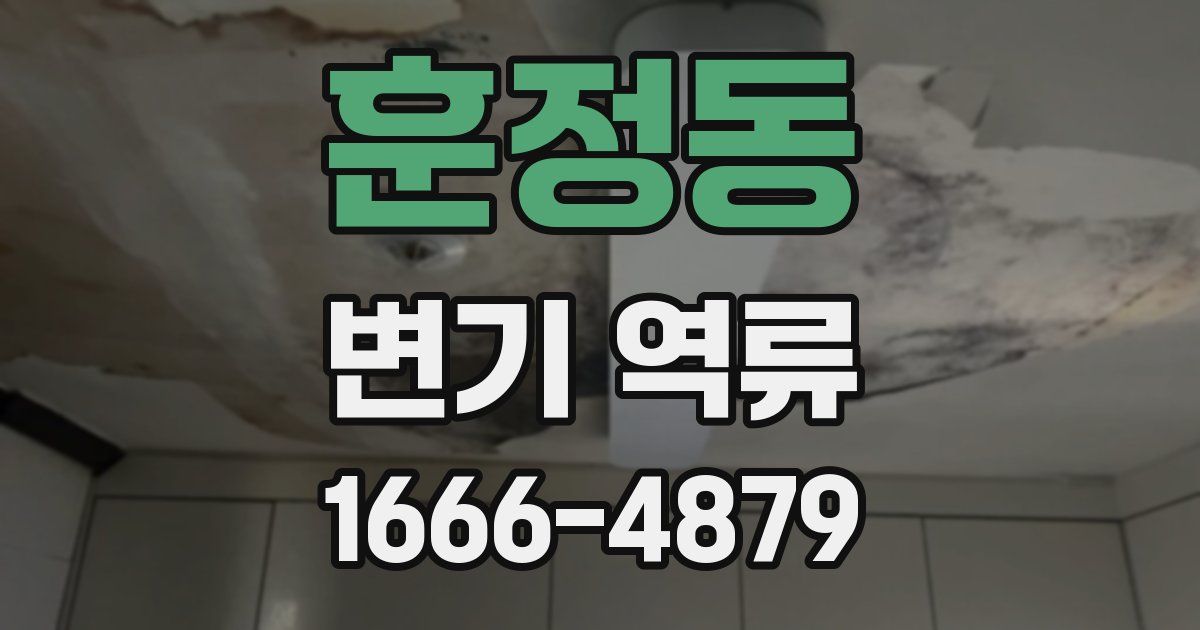 훈정동 변기 역류