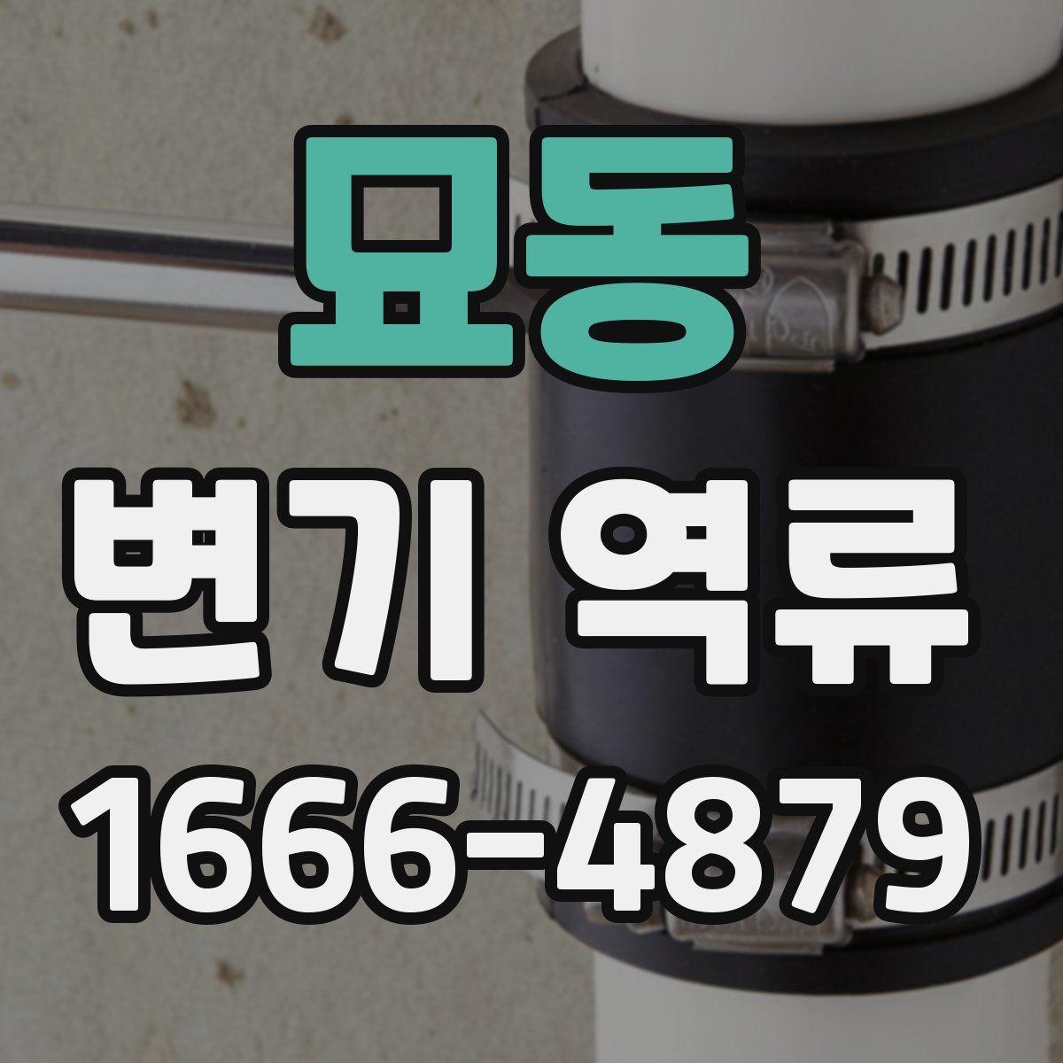 묘동 변기 역류