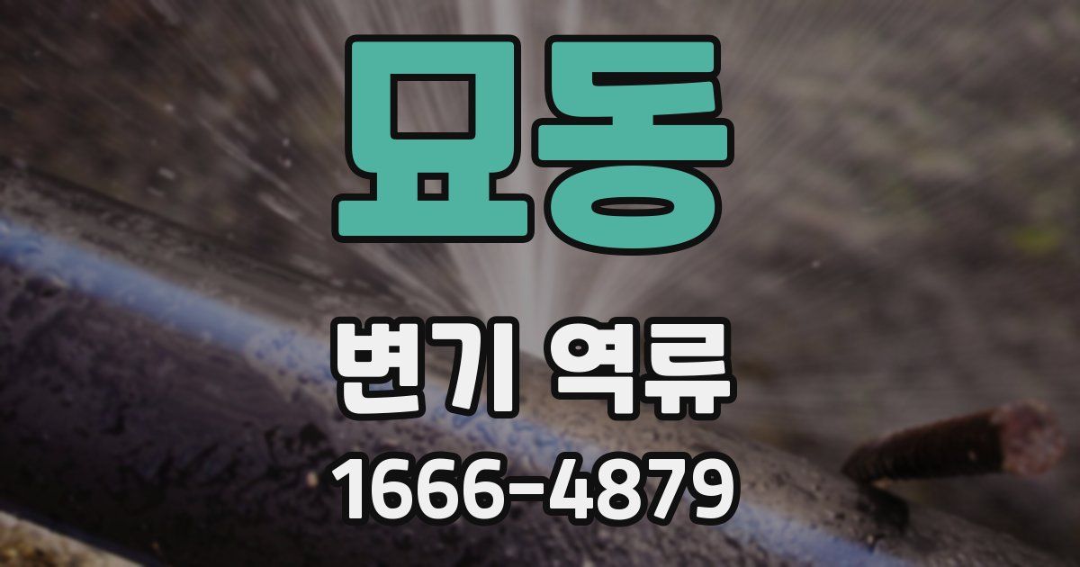 묘동 변기 역류