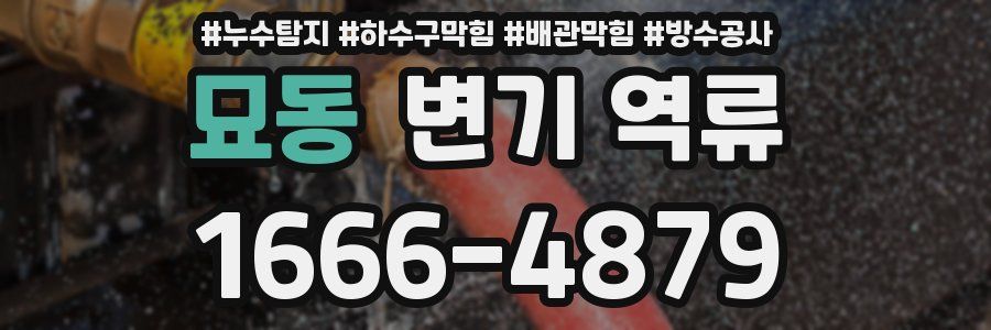 묘동 변기 역류